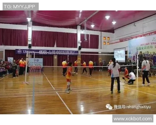 西安排球队在挑战赛中的实力分析与表现评估
