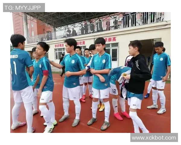 南京足球队心理素质表现的数据分析与提升策略探讨